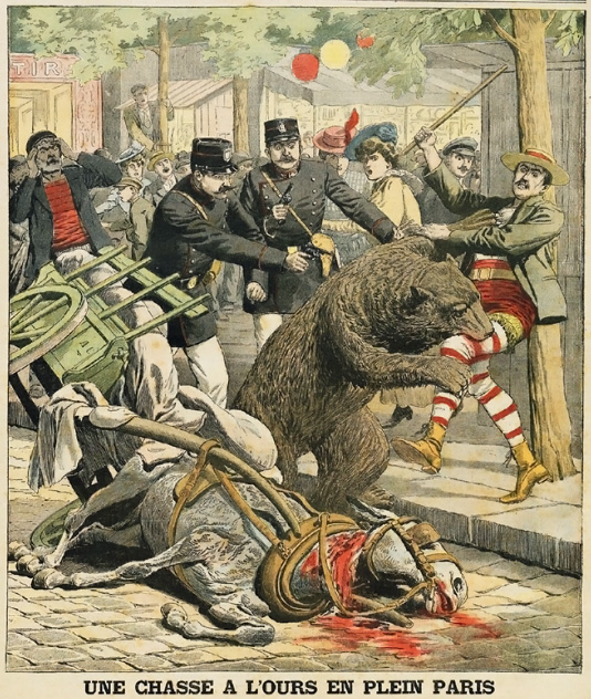 Une chasse à l'ours en plein Paris